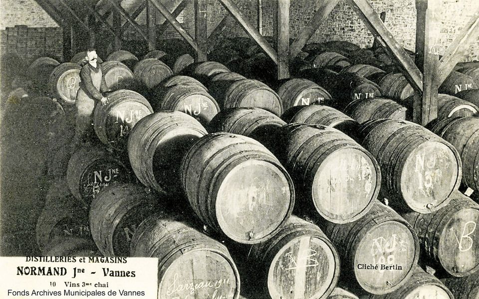 Cette carte postale des distilleries et magasins Le Normand de Vannes, rue Saint-Symphorien, laissent imaginer l’importance du vignoble local avant la Première Guerre mondiale.